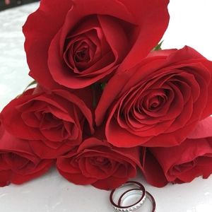 Meet your Posher, Trung